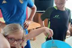 0a1517e1-5464-4ca3-a2c6-d2293ef75c69-1