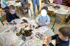 IMG_1804-Copie