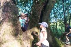 216eeee6-35d1-4fcd-916f-0825b67ceed3