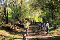 c0c11165-d3d5-49c1-9e19-1b9cf146aef3