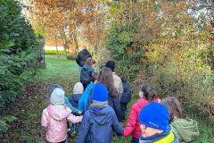 378d03f6-a03e-47fa-b7cd-b0cc9c3fe244