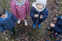 fb9024bb-b161-46e1-9b55-cfd8c3a09dcf