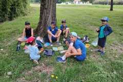 IMG-20250612-WA0002