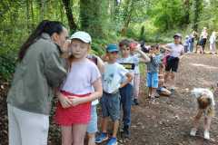 IMG-20250612-WA0012