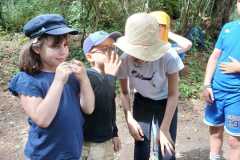 IMG-20250612-WA0013