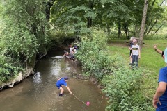 IMG_4337