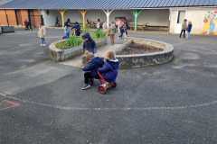 37fc9e2e-ce64-40ad-a658-fe873dd7c5e7