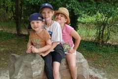 311b5ea3-da0d-4efc-9706-8a24bb036004