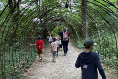 3a0c1dd4-4ad9-44f6-988f-c9d2cf0e8d3e