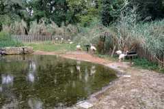 557963d3-dd71-4127-9d0c-63ac89181dee