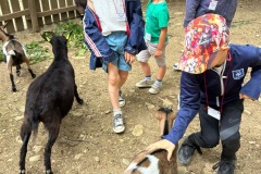 7397841c-a358-4092-972b-3b798cf7a7ee