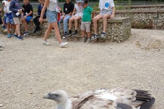 845fe3d0-9965-403c-b750-3fdef5cdbfcb