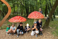 c853140e-c95d-4d1e-8ff9-87c77854e0c8