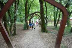 e62197f2-076b-4189-a444-6f0e08f89c34