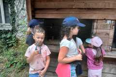 e972233d-7a2f-4bfc-a94d-7ee551e651a2