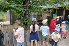 f1baffad-b8cd-4a63-b373-50912a657ed2