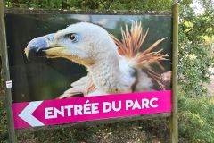 f7819c7b-167b-454d-9130-cc271dd08254