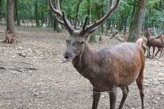 fba8dad6-ea6c-4ff4-bbab-5860cf9764b4